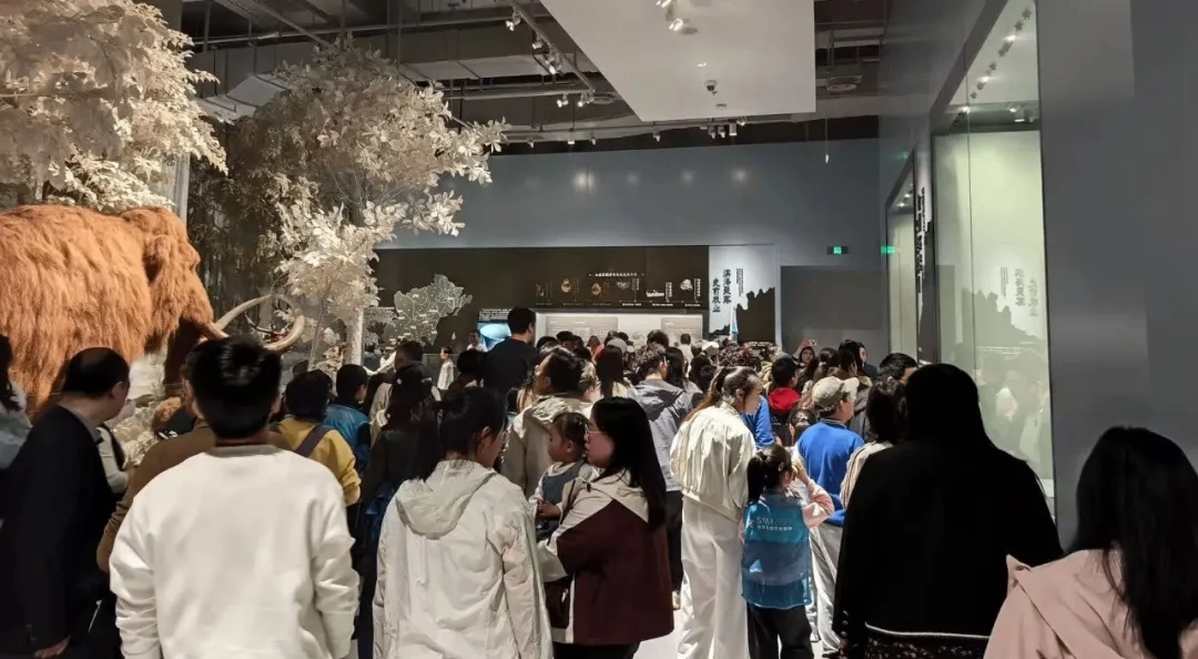 微信图片_20260513095931_94_142.png